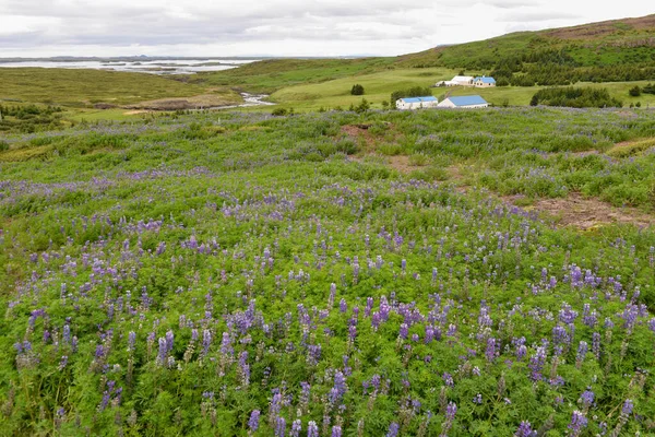 Vista Paisaje Rural Islandia —  Fotos de Stock