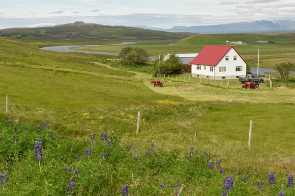 Vista Paisaje Rural Islandia — Foto de Stock