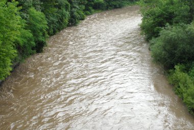 kahverengi nehirde çamurlu: yeşil orman