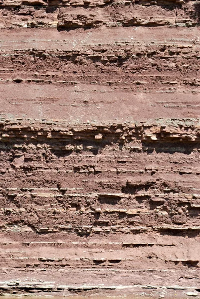 tortul clay arka plan