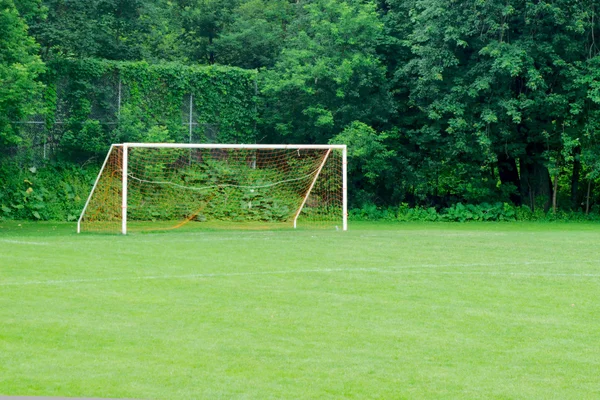 Rede de futebol no campo de grama — Fotografia de Stock