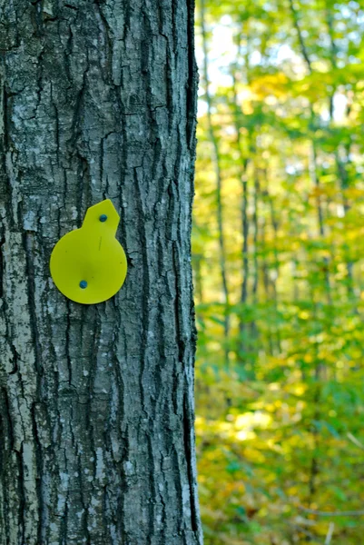 Marcador de trilhas na árvore — Fotografia de Stock