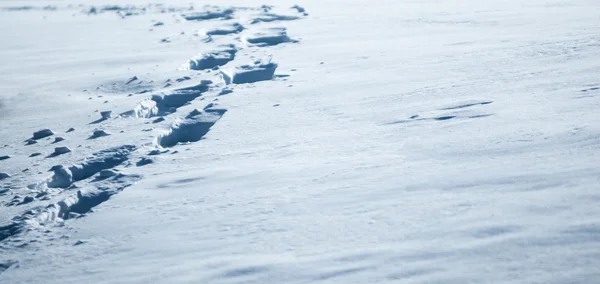 Fotspår i färsk vit snö. — Stockfoto