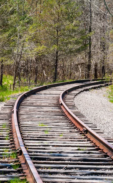 Zuggleise biegen sich rechts in Bäume. — Stockfoto