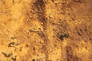 Klasik çerçeve, desenli grunge arkaplan. Soyut eski yüzey sarı, turuncu ve kahverengiye yakın. Renkli çizilmiş arkaplan