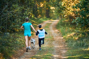 Canicross köpek mantar yarışı, anne ve oğluna bağlı Dalmaçyalı köpek koşusu, orman yolunda geri görüş, köpek yarışı, açık havada aktif aile koşusu.