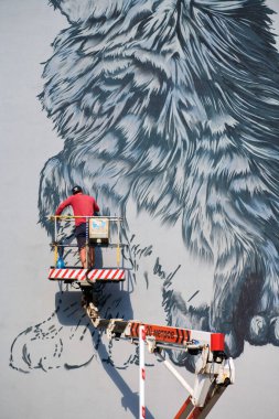 Zelenogradsk, Rusya - 07.30. 2021 - Gökyüzü çalışma platformunda duran grafiti sanatçısı ev duvarına kedi grafitisi çiziyor. Ev duvarına şirin kedi resmi çizmişsin. Kentsel alanın dekorasyonu