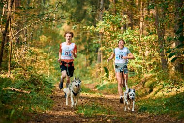 SVETLY, KALININGRAD OBLAST, RUSSIA - 2 Ekim 2021 - Canicross tatbikatları, Sibirya Husky ve Dalmaçyalı köpek, kanikros yarışı ve koşu konsepti ile koşan genç erkek ve yetişkin kadın