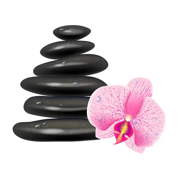 Ilustración con piedras de masaje y orquídea. Fondo blanco — Vector de stock