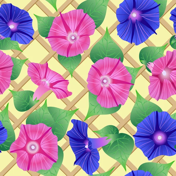 无缝模式与粉红色和紫色的花朵 (牵牛花) — 图库矢量图片