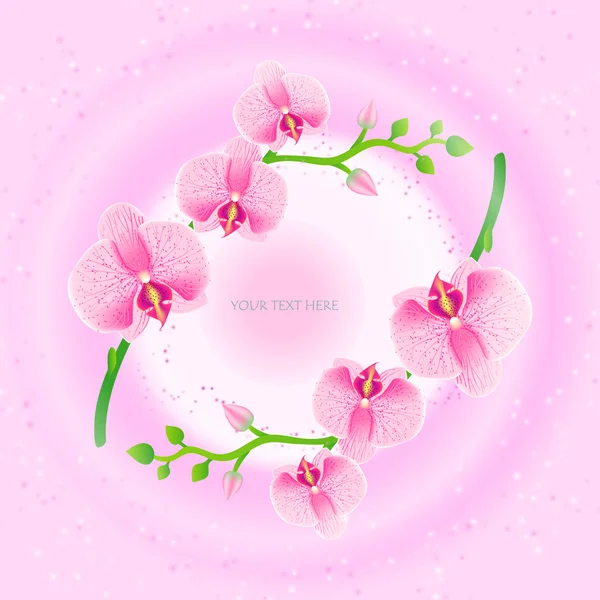 Ilustración de marco con orquídeas rosadas — Vector de stock