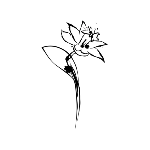 Tintenklecks Illustration der Narzissenblüte — Stockvektor