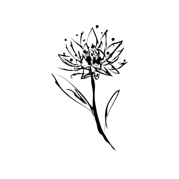 Atrament rozchlapać ilustracja kwiat — Wektor stockowy