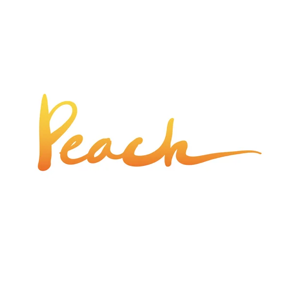 Ink lettering "Peach" — Stock Vector