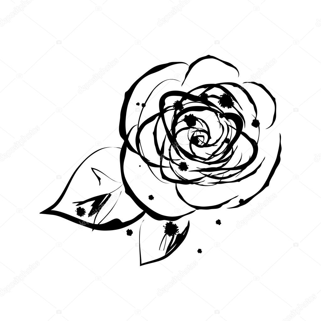 Ink splash illustration of rose flower