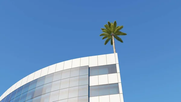Ένα Φοινικόδεντρο Στην Άκρη Του Κτιρίου Οροφής Χώρο Αντίγραφο Απόδοση — Φωτογραφία Αρχείου