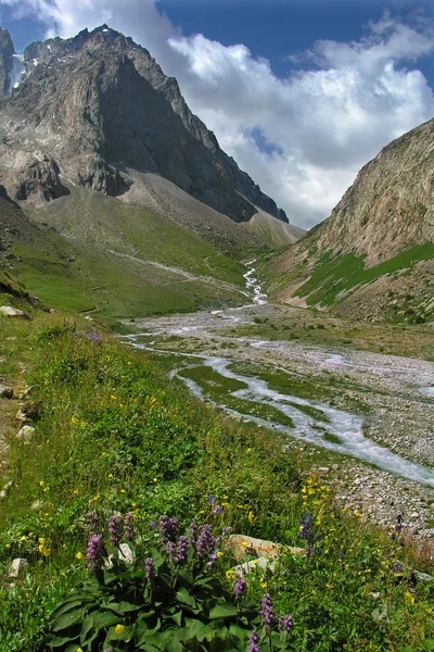 Dağlardaki manzara
