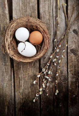 eggs and willow