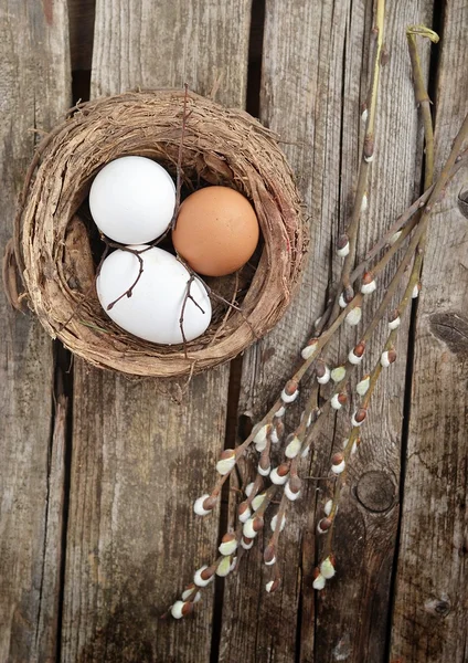 Яйца и ива — стоковое фото