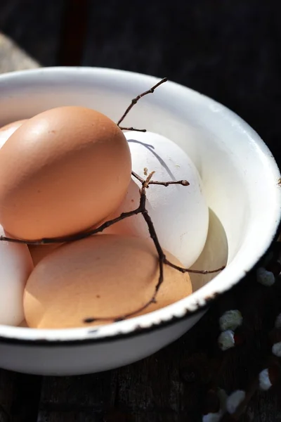 Яйца и ива — стоковое фото