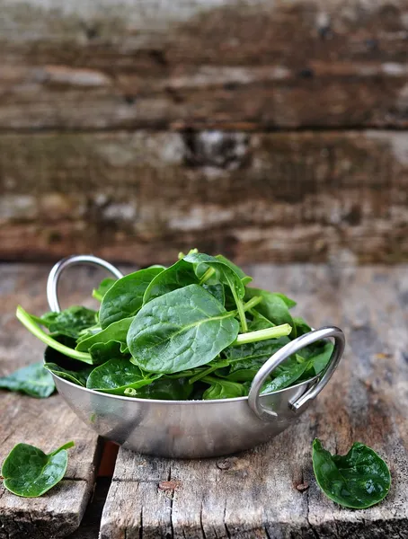 Spinach — Stock Photo, Image