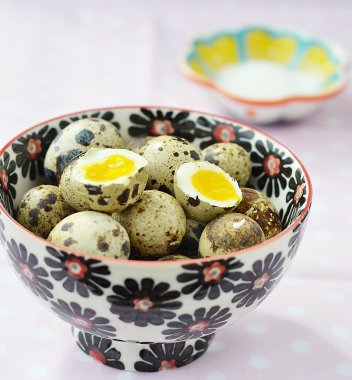 bıldırcın yumurtası