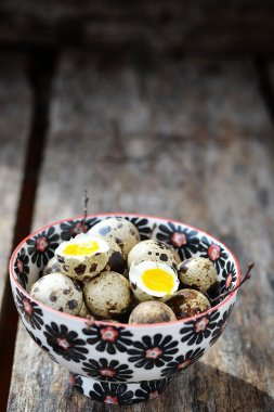 bıldırcın yumurtası