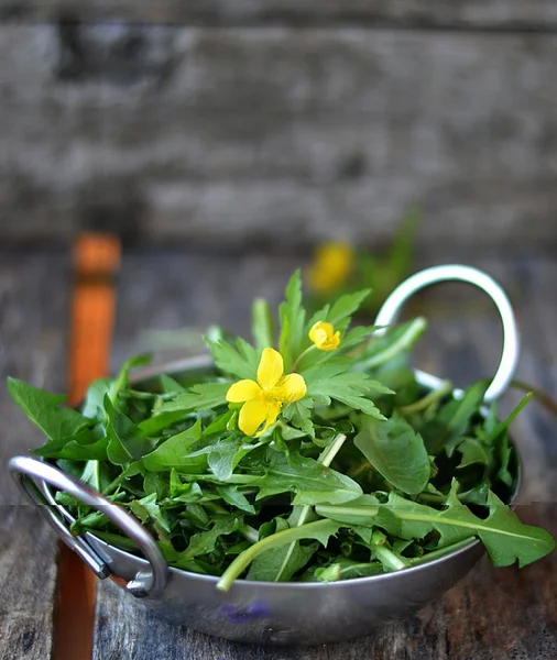 Hoja de diente de león silvestre —  Fotos de Stock