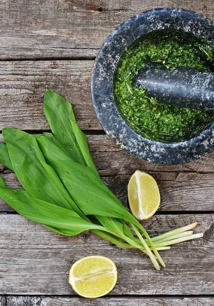 Pesto de cebolla de oso . —  Fotos de Stock