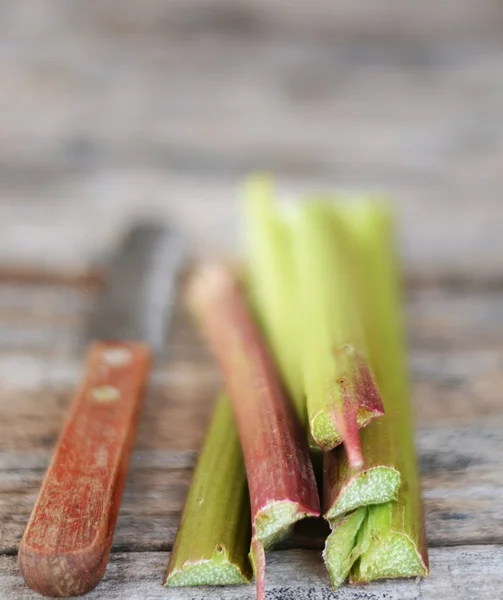 Rhubarb — Stock Photo, Image