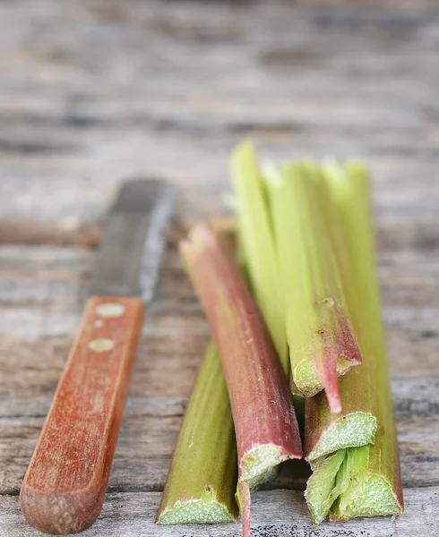 Rhubarb — Stock Photo, Image