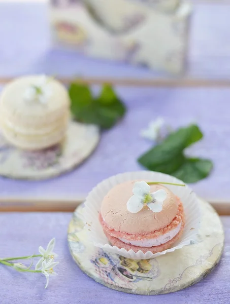 Macaron — Foto Stock