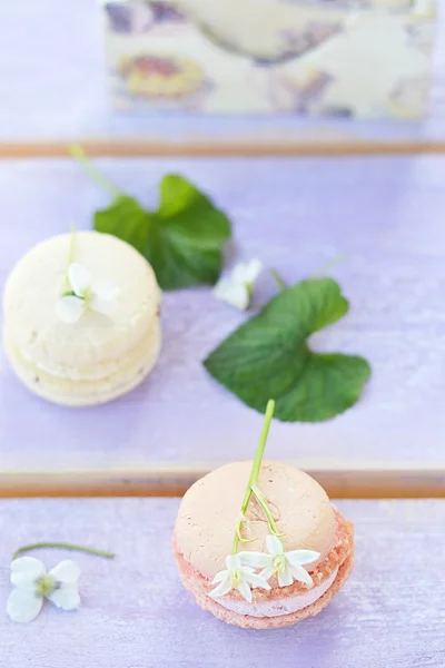 Macarons — Photo