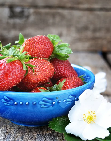 Aardbeien — Stockfoto