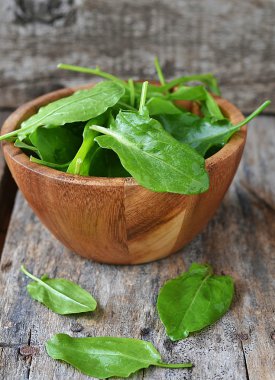 taze yeşil kuzukulağı