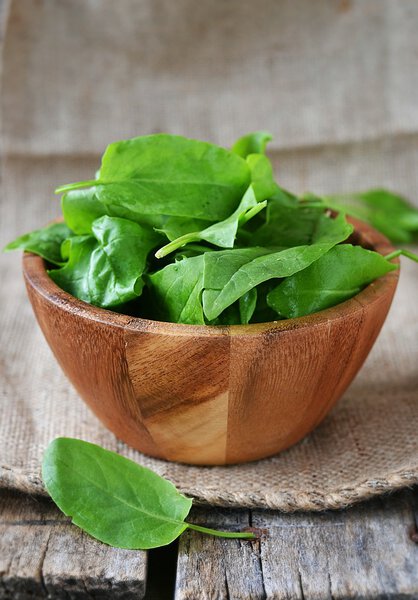 fresh green sorrel