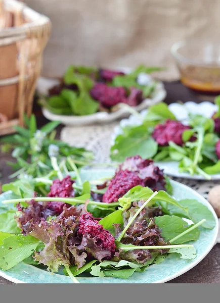 Bieten salade — Stockfoto