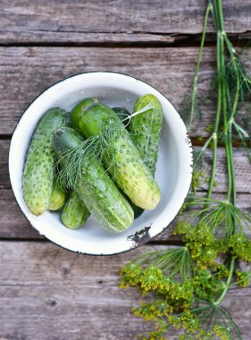 taze, yeşil cucamber