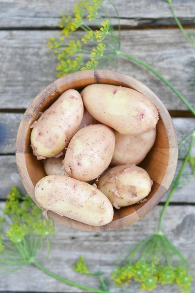 Fresh organic potatoes — Stock Photo, Image