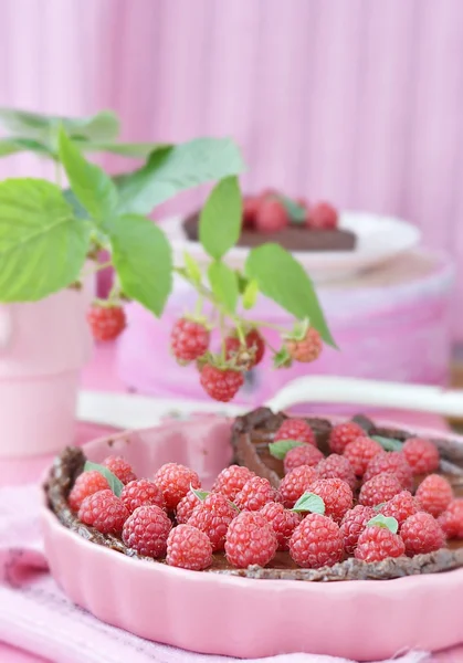 Schokolade und Himbeertorte — Stockfoto