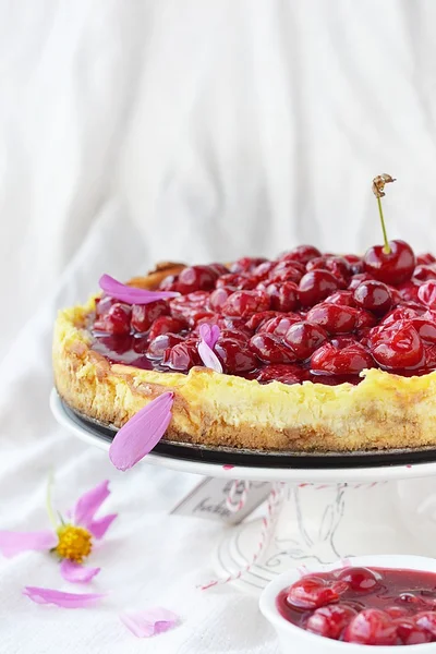Tvarohový koláč s cherry omáčkou — Stock fotografie