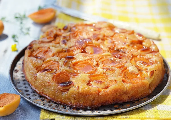 Tarta de albaricoque — Foto de Stock