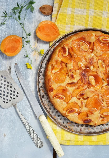 Torta di albicocche — Foto Stock