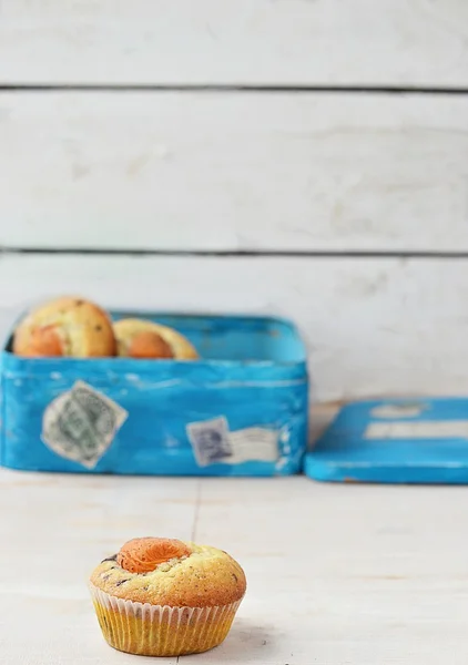 Aprikosenmuffins. — Stockfoto