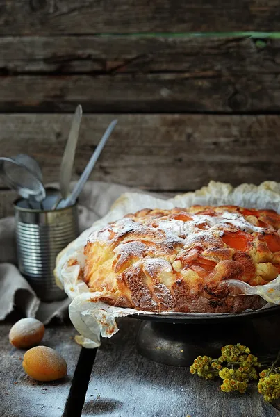 Aprikosenkuchen — Stockfoto