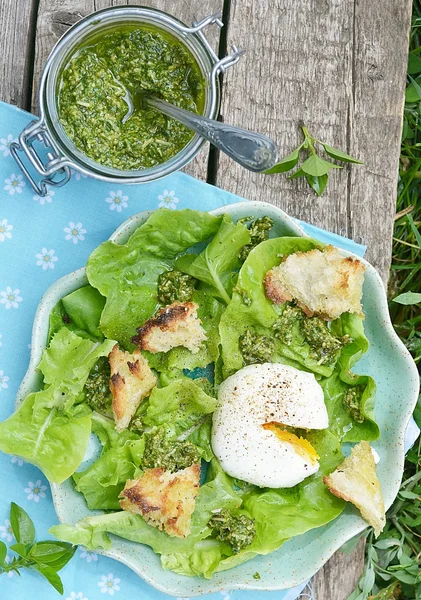 Insalata verde con uovo — Foto Stock