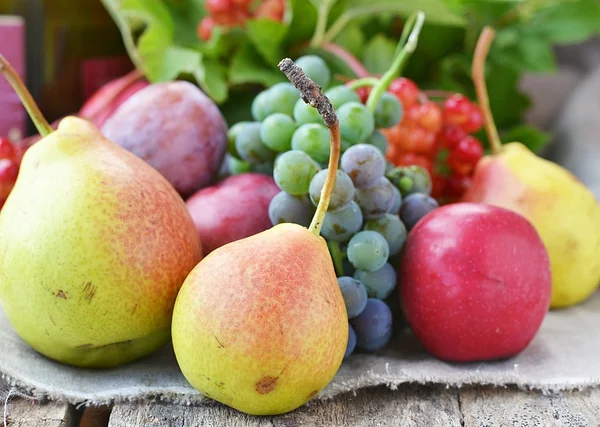 Frutta autunnale — Foto Stock