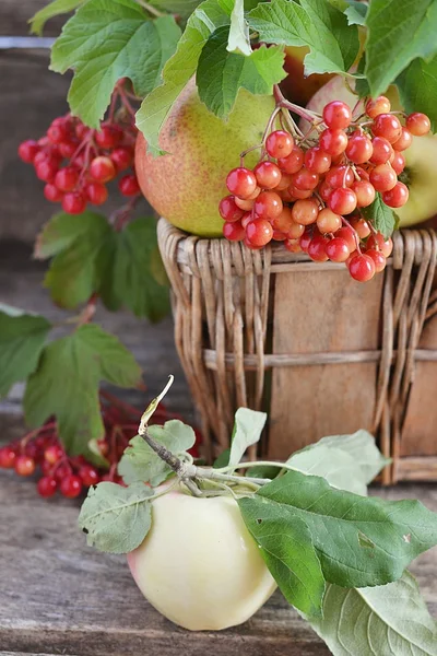 Manzanas —  Fotos de Stock