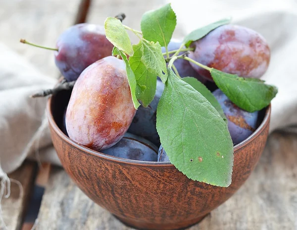 Frutos de ameixas — Fotografia de Stock