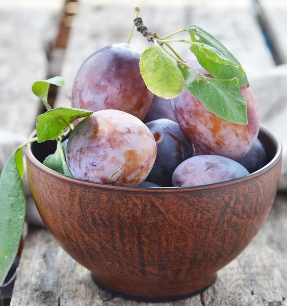 Fruits de prunes — Photo